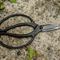 Bonsai Wakashishi Scissors Shirogami 60mm (2.4")
