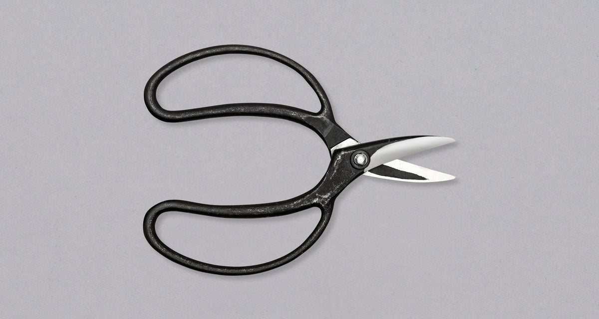 Bonsai_Wakashishi_Scissors_Shi