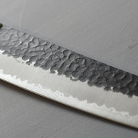 Hokiyama Gyuto Aogami Super Tsuchime 210mm (8.3")_2