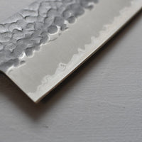 Hokiyama Gyuto Aogami Super Tsuchime 210mm (8.3")_4