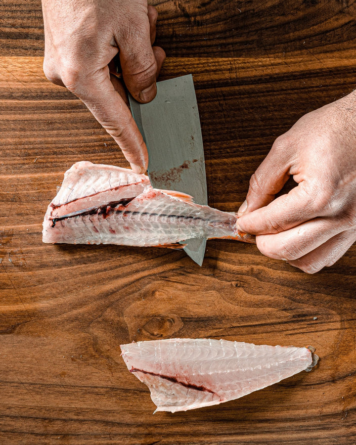 Japanese deba knife: the tip of the blade