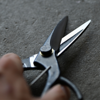 Kuroco Kiribashi Schere 75mm (3")