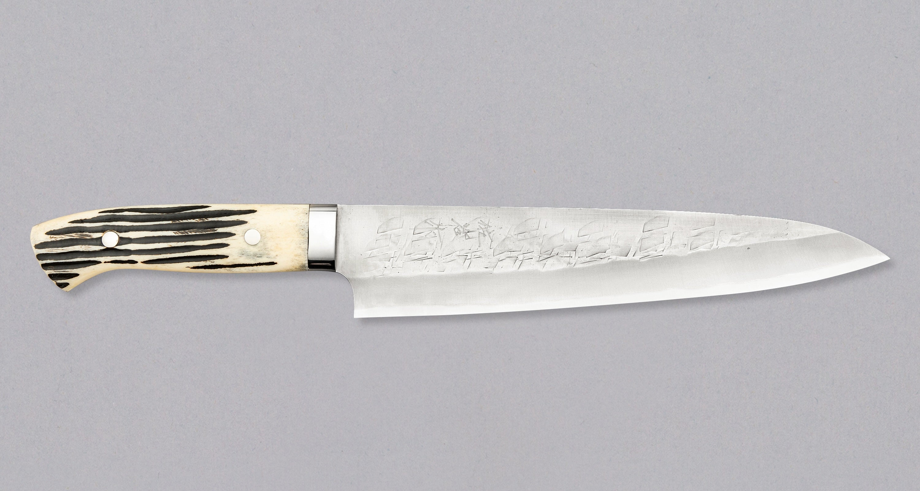 Saji Gyuto SRS13 Stag Antler 240mm (9.4