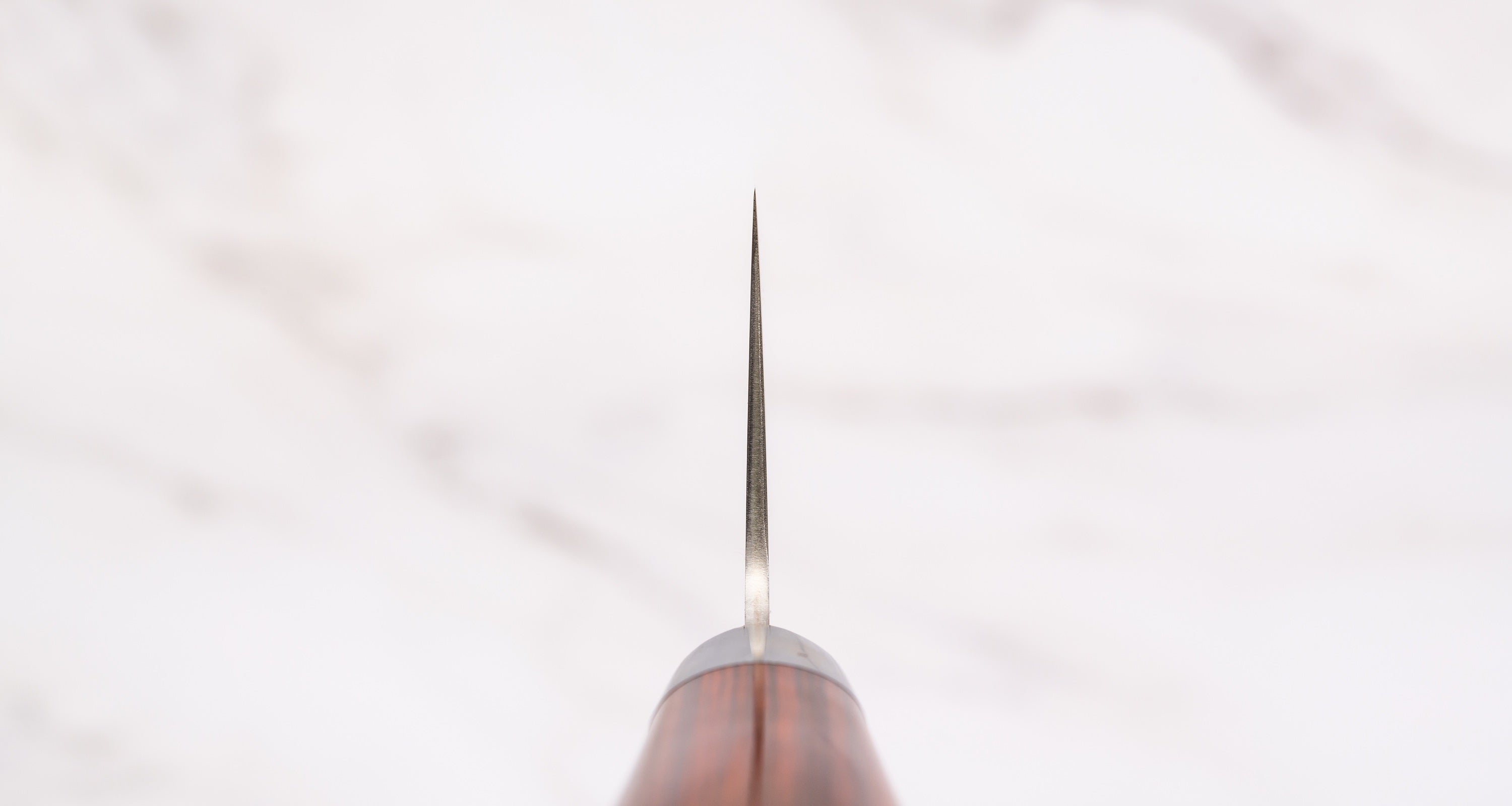 Takamura Gyuto Migaki SG2 210mm (8.3