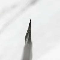 Tomita Razor Aogami #2 50mm (2")