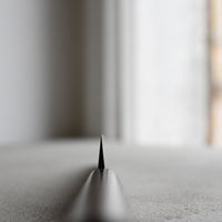 Tsunehisa Yanagiba 270mm (10.6")_5