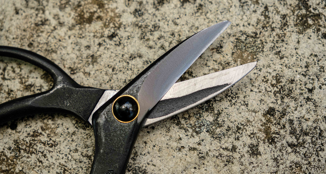 Bonsai Wakashishi Scissors Shirogami 60mm (2.4")
