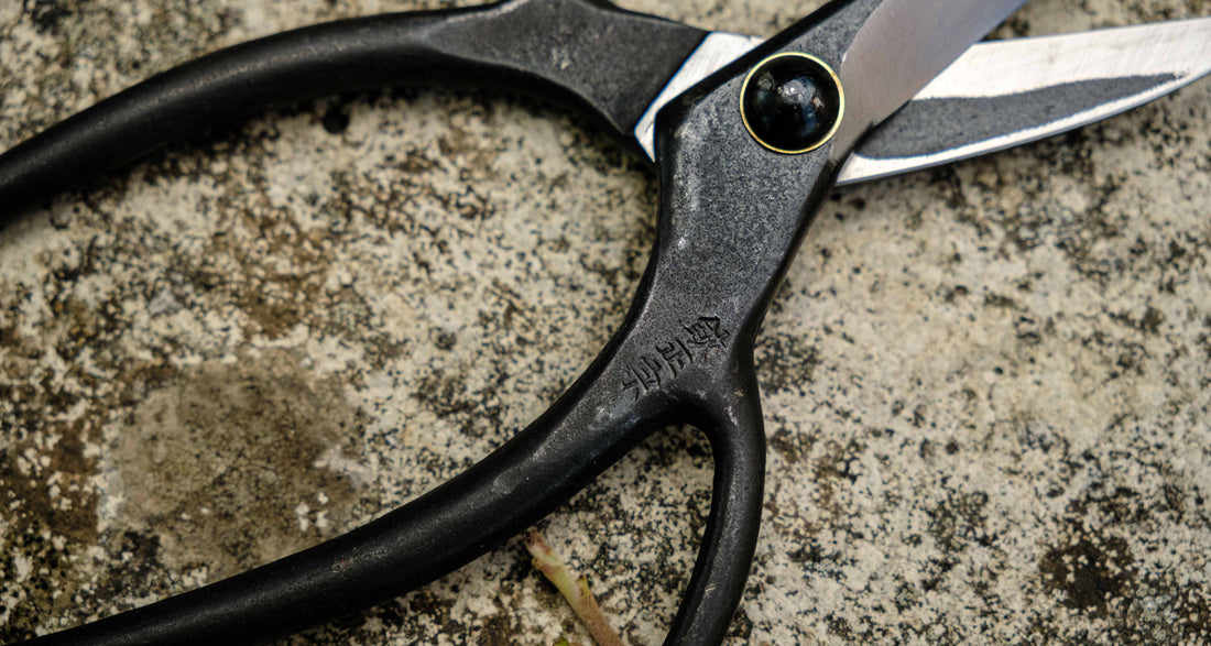 Bonsai Wakashishi Scissors Shirogami 60mm (2.4")