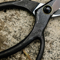 Bonsai Wakashishi Scissors Shirogami 60mm (2.4")