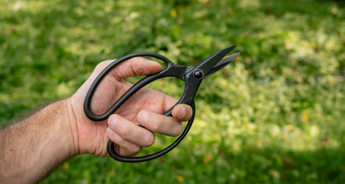 Bonsai Wakashishi Scissors Shirogami 60mm (2.4")