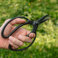 Bonsai Wakashishi Scissors Shirogami 60mm (2.4")