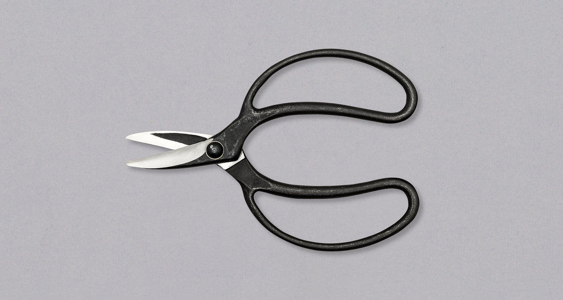 Bonsai Wakashishi Scissors Shirogami 60mm (2.4")