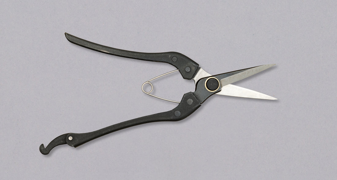 Centrum Softgrip-Schere – 20 Cm Mit Schwarzem Griff Und Bunten Kunststoffgriffen Für Präzises Arbeiten