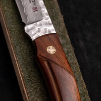 Mcusta Mike Irie Sport 200 Damascus VG-10 Core Ironwood Fixed Blade [MC-0232DI]