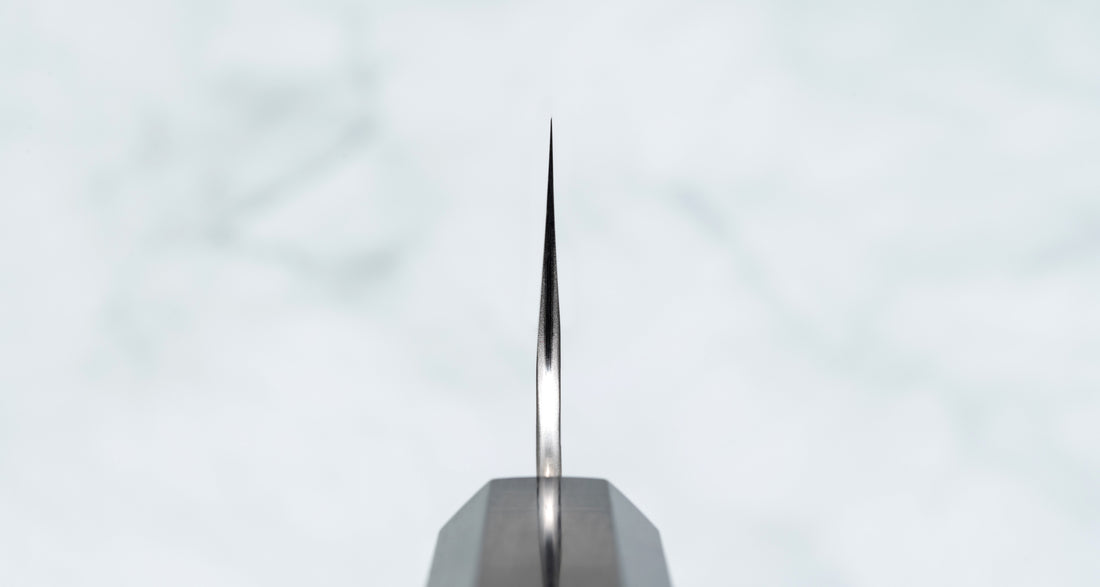 Nigara Kiritsuke-Gyuto SG2 Tsuchime Wa Ebony 210 mm (8,3 inchi)