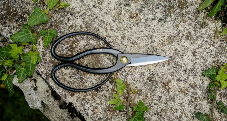 Tsurumaki Bairyu Long Blade Bonsai Okubo Scissors 200mm (7.9")