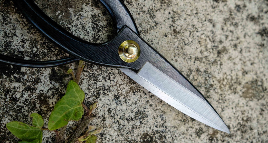 Tsurumaki Bairyu Long Blade Bonsai Okubo Scissors 200mm (7.9")