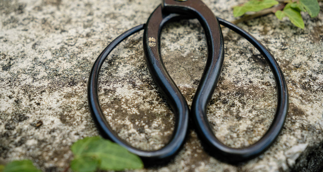 Tsurumaki Bairyu Long Blade Bonsai Okubo Scissors 200mm (7.9")