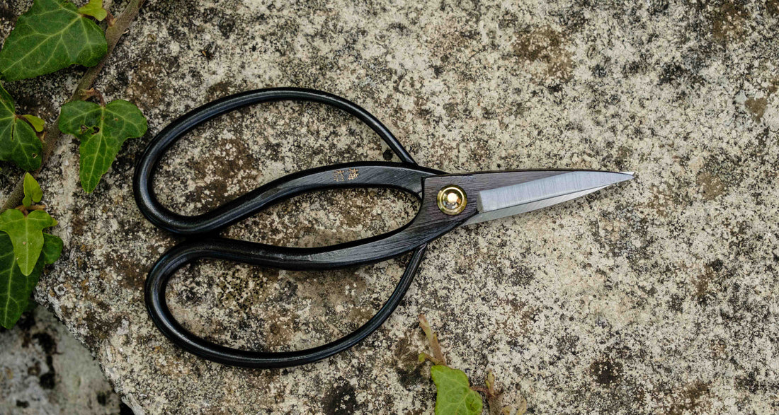 long blade garden scissors Tsurumaki Bairyu Long Blade Bonsai Okubo Scissors 165mm (6.5") – SharpEdge