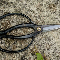 Tsurumaki Bairyu Long Blade Bonsai Okubo Scissors 165mm (6.5")