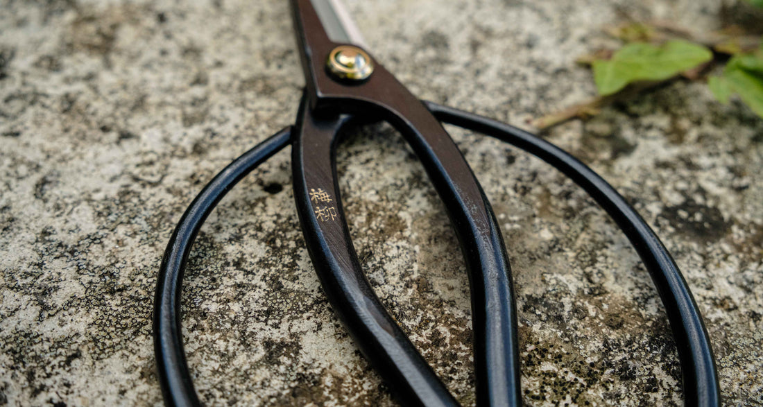 Tsurumaki Bairyu Long Blade Bonsai Okubo Scissors 165mm (6.5")