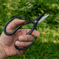 Tsurumaki Bairyu Long Blade Bonsai Okubo Scissors 165mm (6.5")