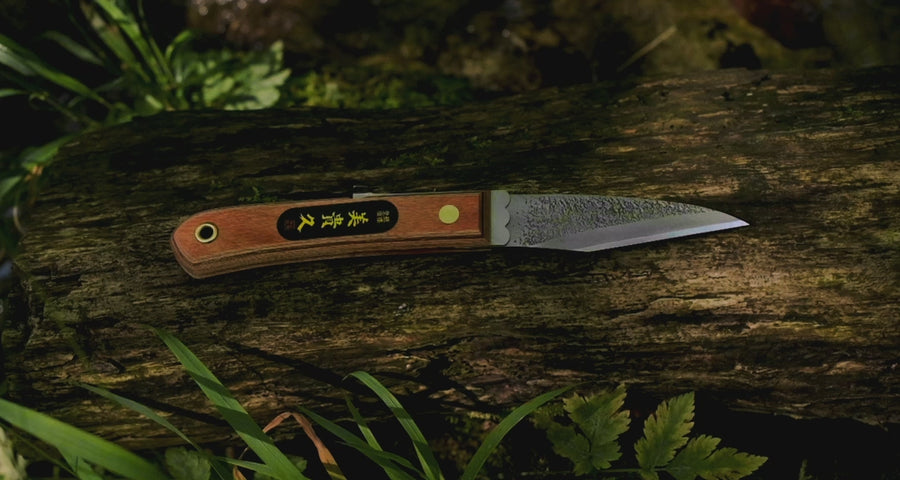 Ikeuchi Cuchillo Plegable Kiridashi Tsuchime 95mm (3.7")